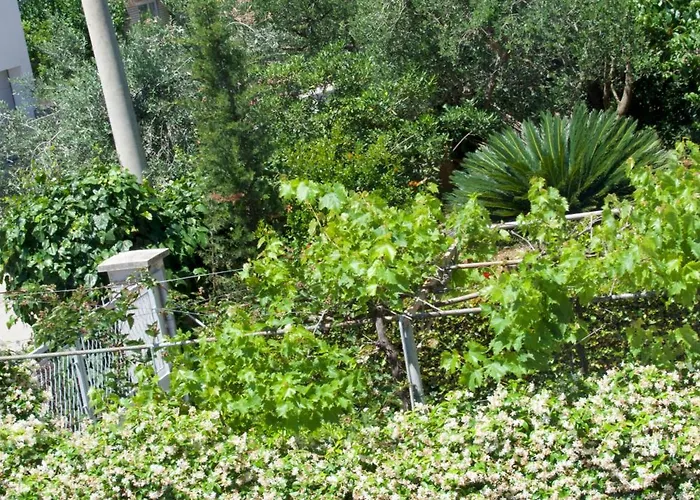 Gostinjska kuća Jadera 3*