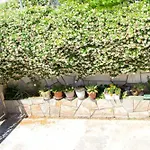 Jadera 3*